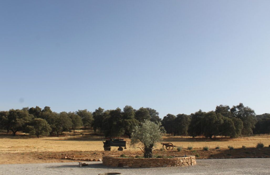 AlohaCamp Los Naranjos 1