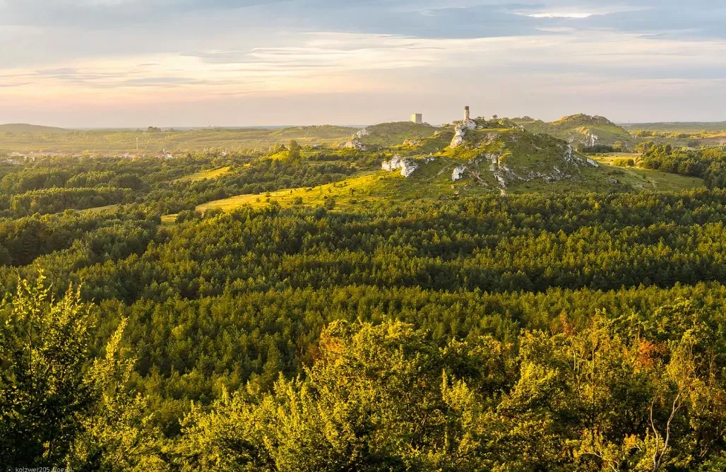 alojamientos AlohaCamp Sokolnica - Twój Azyl na Jurze 4