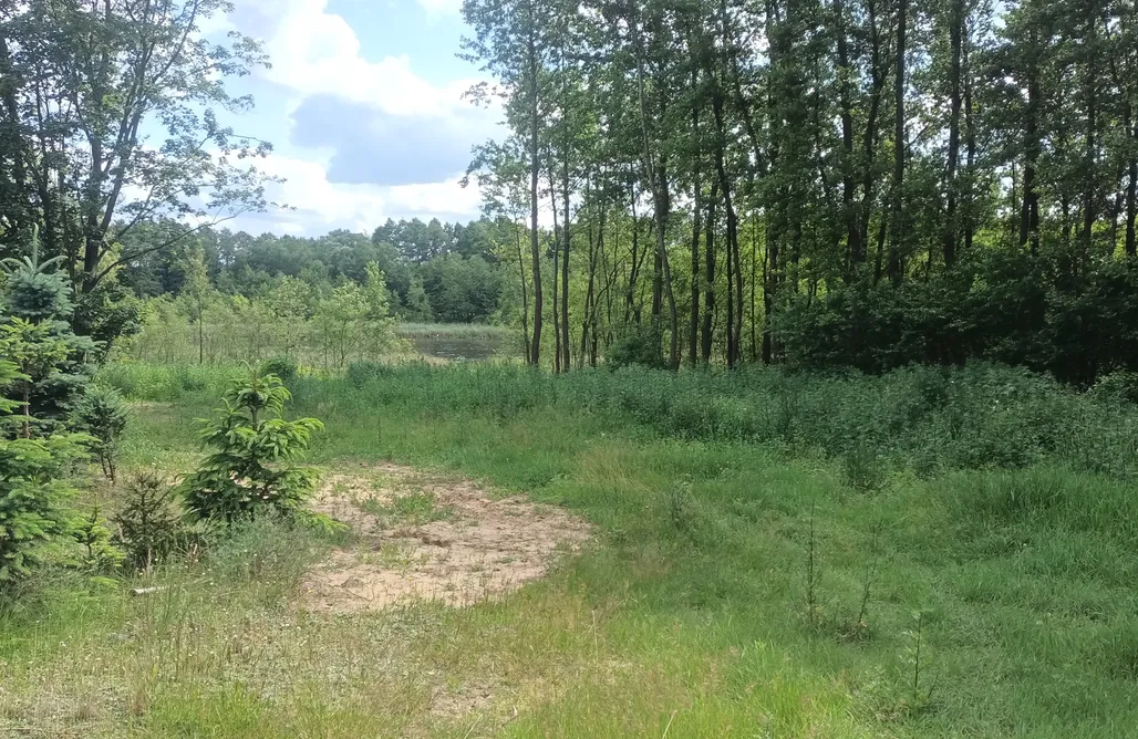 AlohaCamp Klonowa Przystań  2