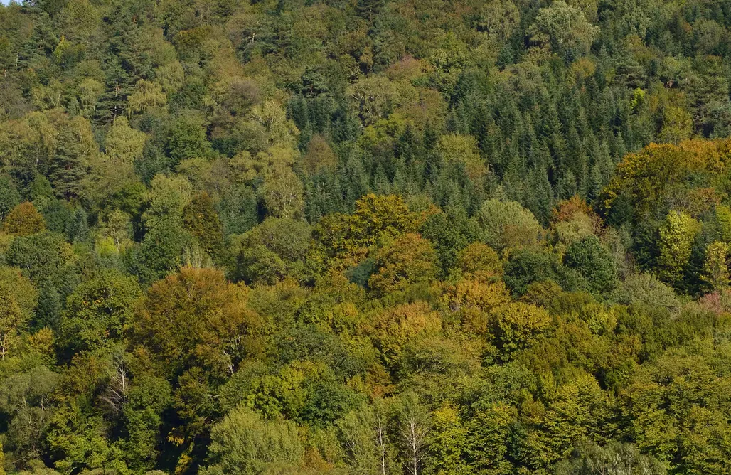 Ropienka noclegi Domek Ranczo Podkówka 1