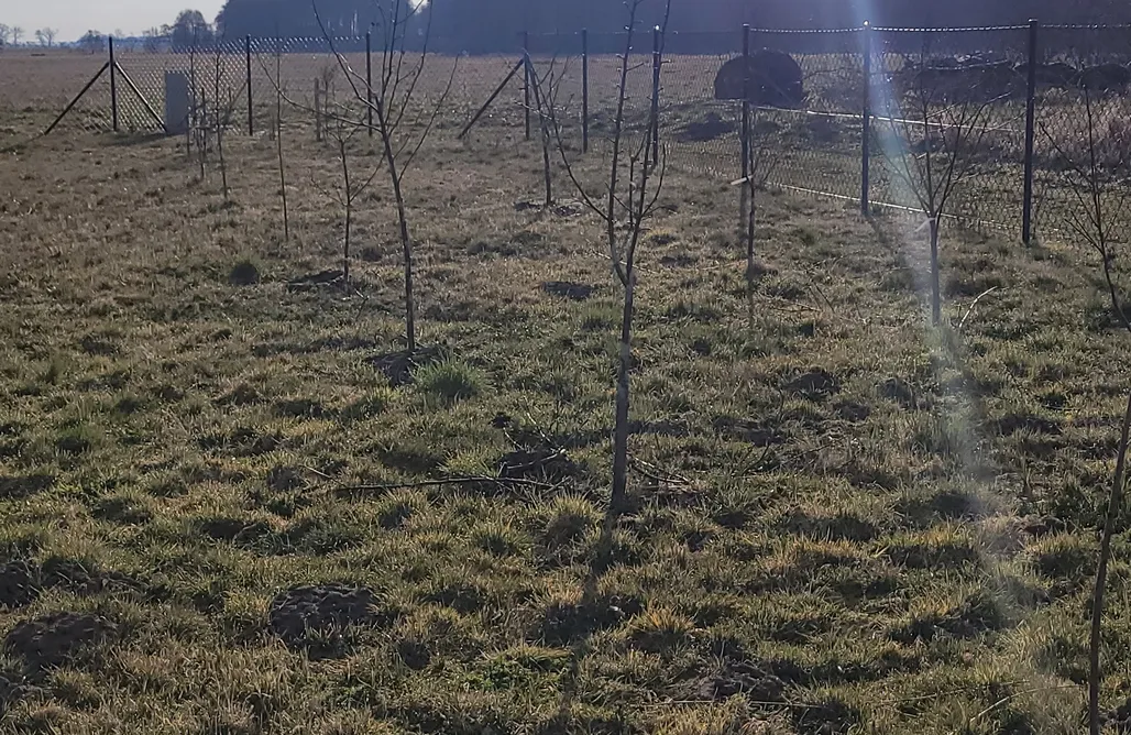 Silvester Kurztrip Miejsce kamperowe - Ostoja spokoju 1