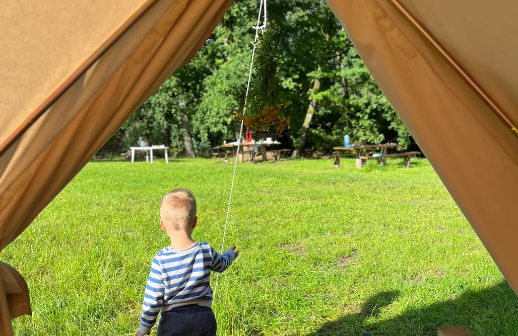 Glamping Poland Helagust 2