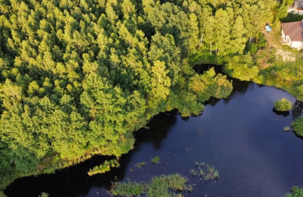 AlohaCamp Uroczysko Lubajny 1