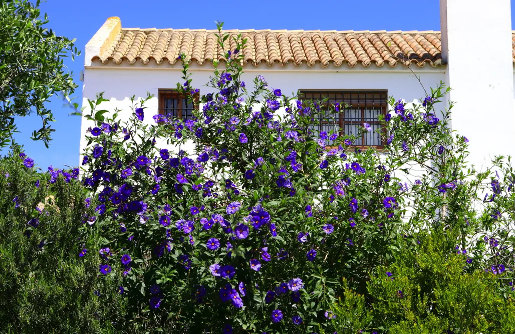 Glamping Cádiz La Quinta de Maria Luisa 3