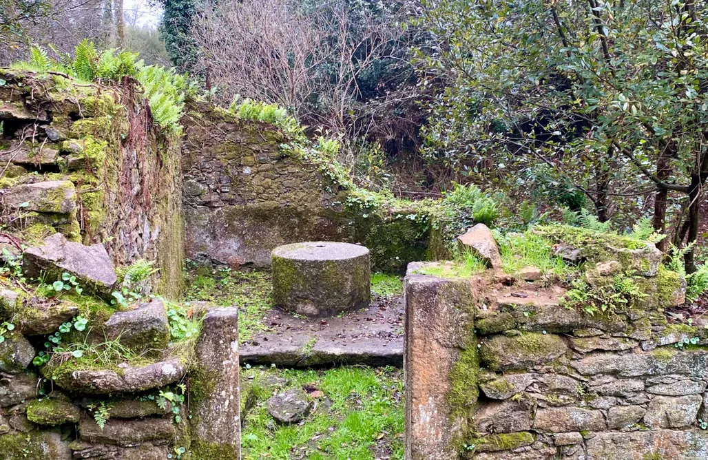 AlohaCamp accommodation Casa con vistas impresionantes  1