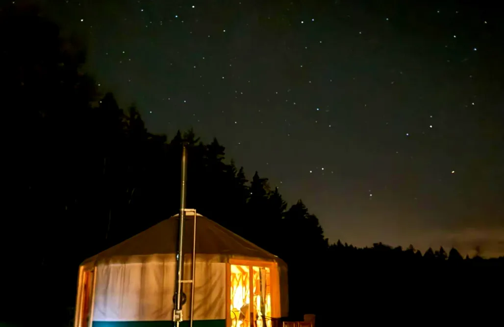 Gdzie na Grzyby Glamping Niebiańska Osada 1