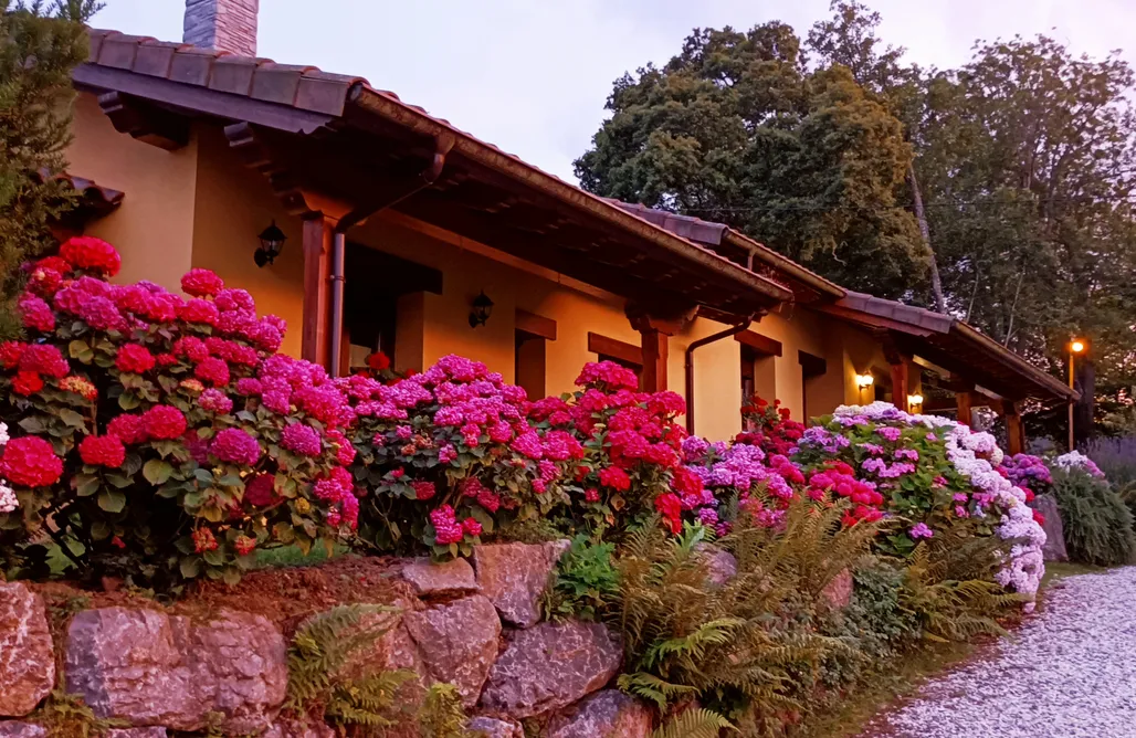 AlohaCamp Casa el Mar 1