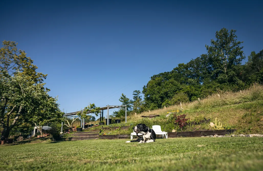 Glamping Asturias Finca La Naguada, tu casa rural en Infiesto 1