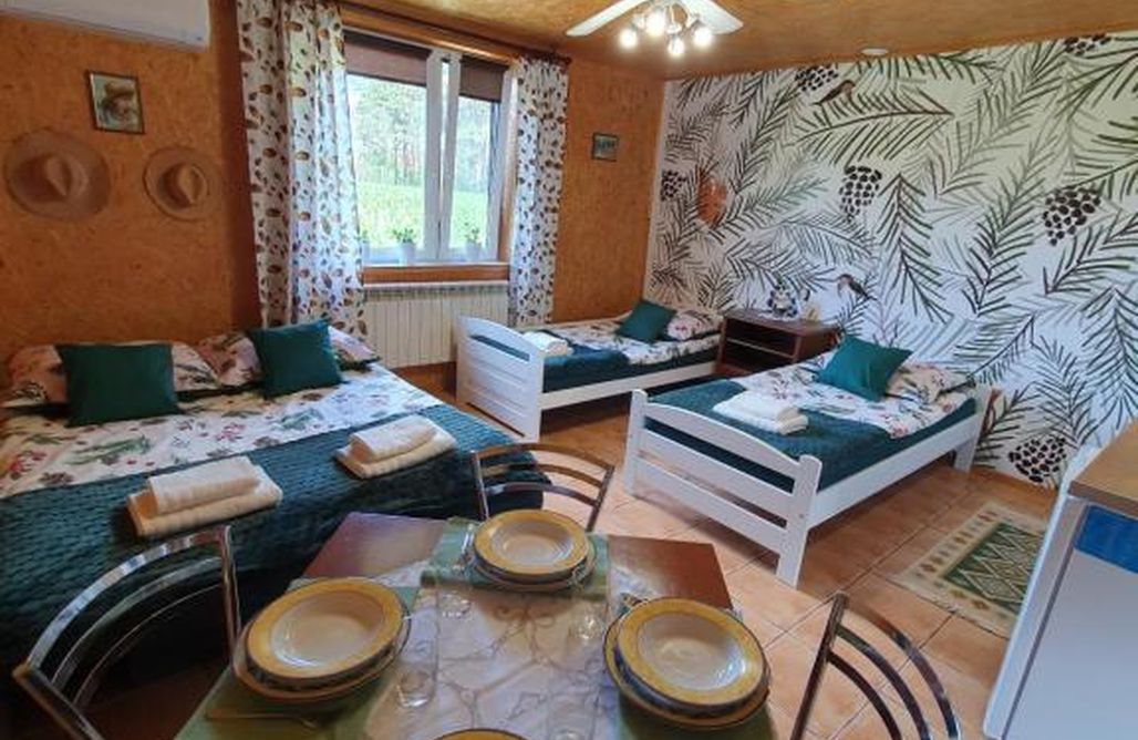 AlohaCamp Szyszkowy Domek 4