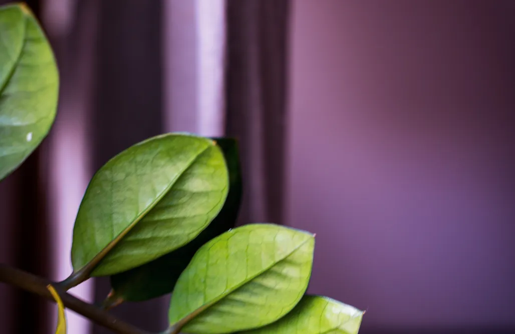 AlohaCamp Pokój trzyosobowy z zabawkami dla najmłodszych 4