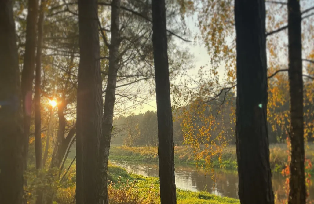 noclegi AlohaCamp Domek w ptasim gaju 5