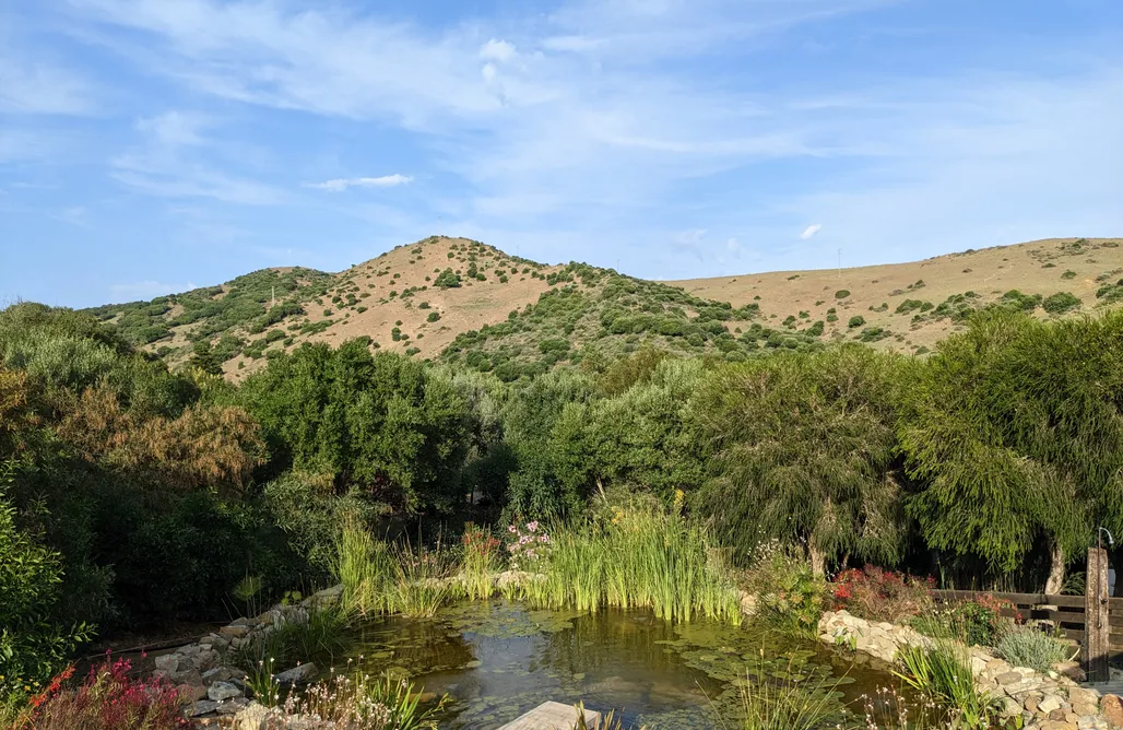 alojamientos AlohaCamp Yurts Tarifa 1