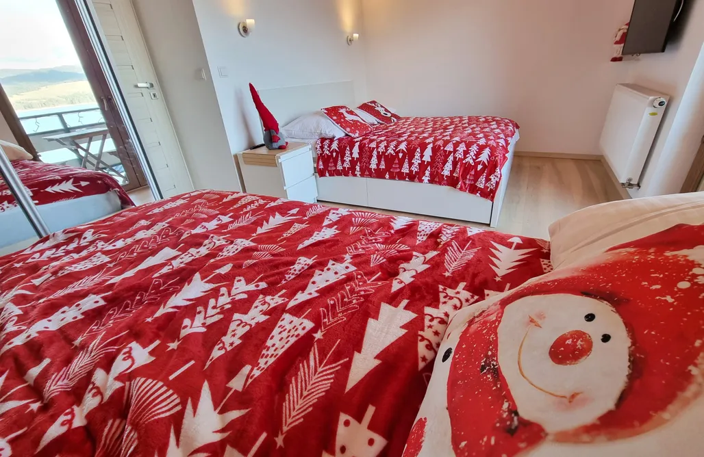 AlohaCamp Domek z Pomostem  2