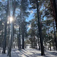 Katarzyna użytkownik