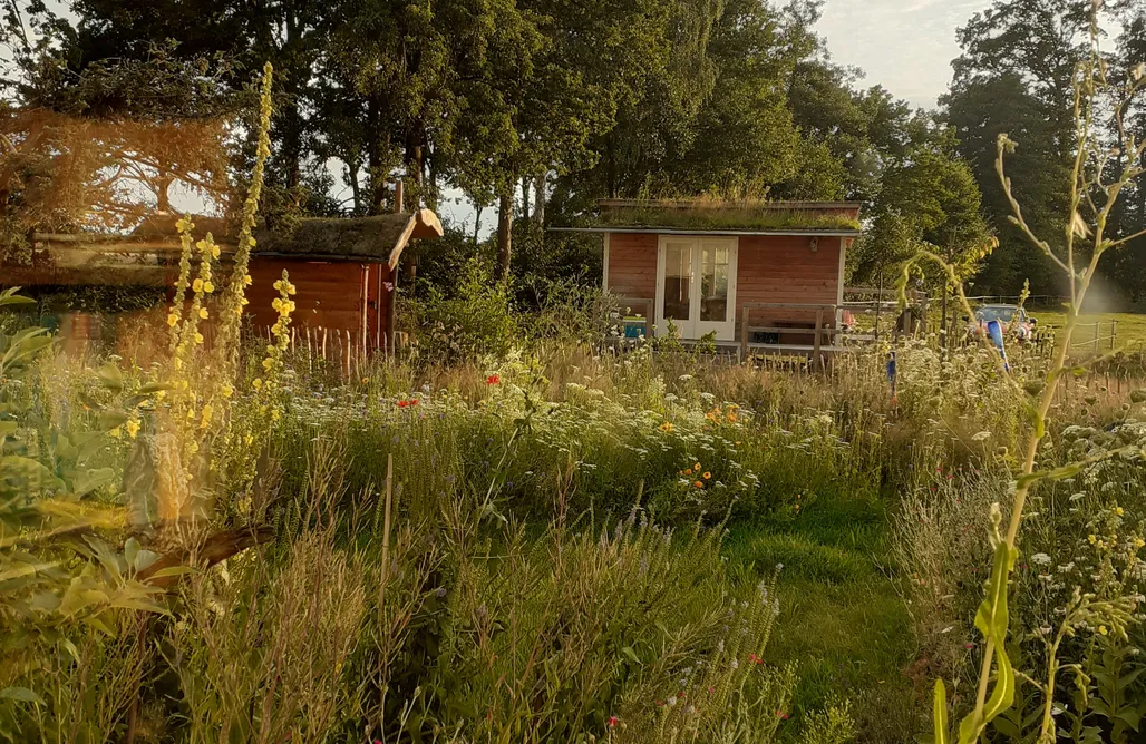 AlohaCamp Spatzen-Nest 1