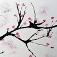 Aleksandra użytkownik