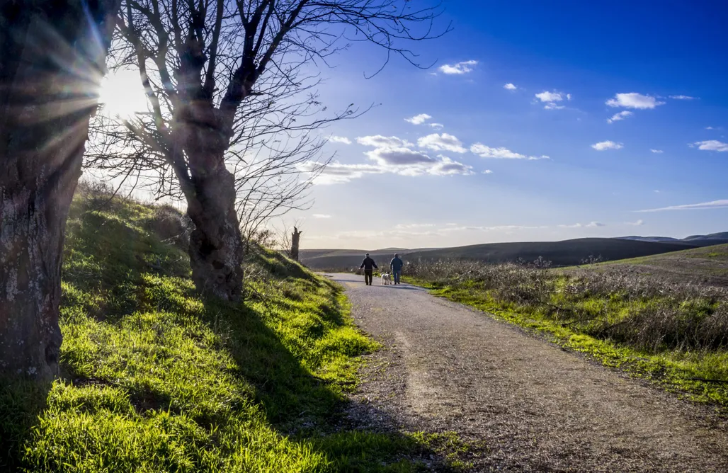 alojamientos AlohaCamp Casa Rural Adalid 1