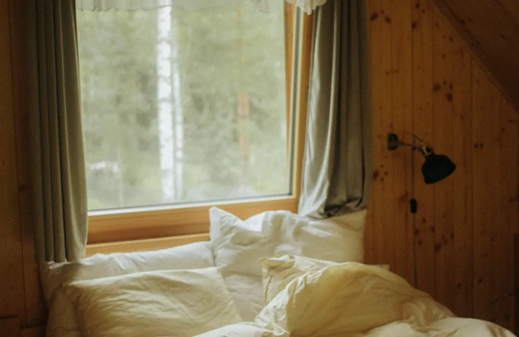 Domki Białystok Miło las widzieć 3