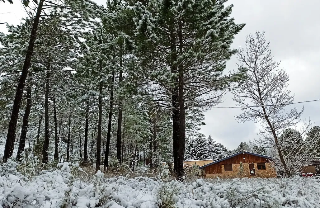 AlohaCamp Esmeralda 3