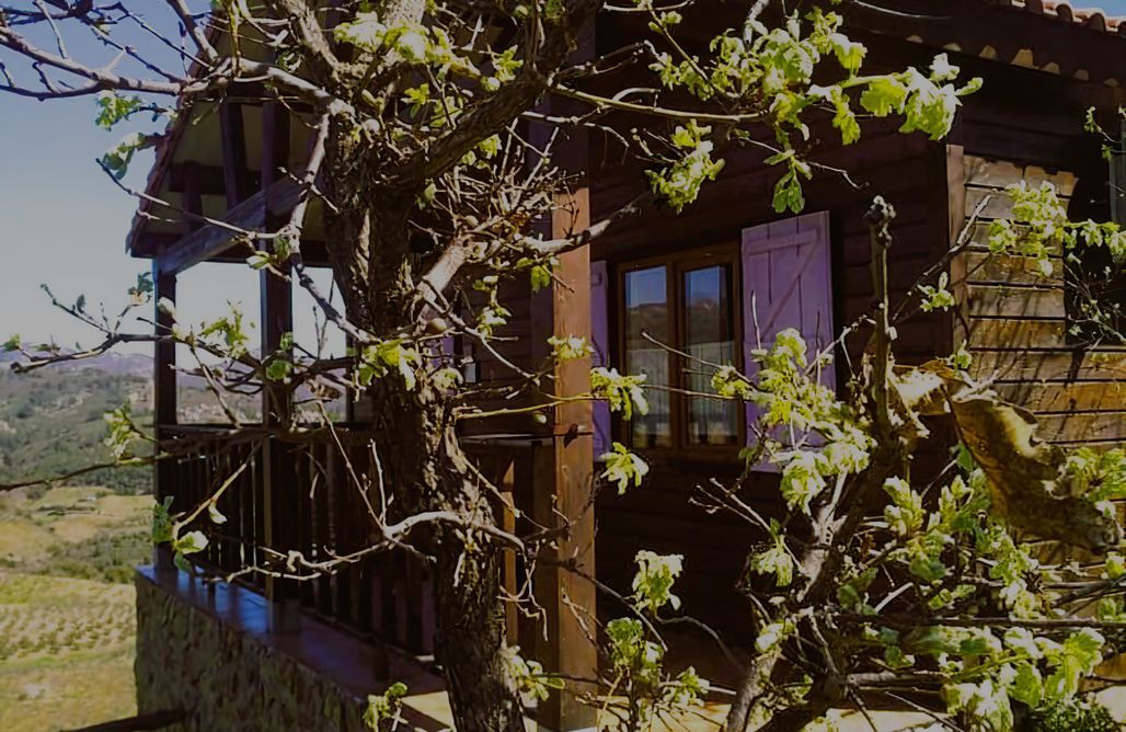 Casa rural en Guadalupe Cabaña Violeta 3