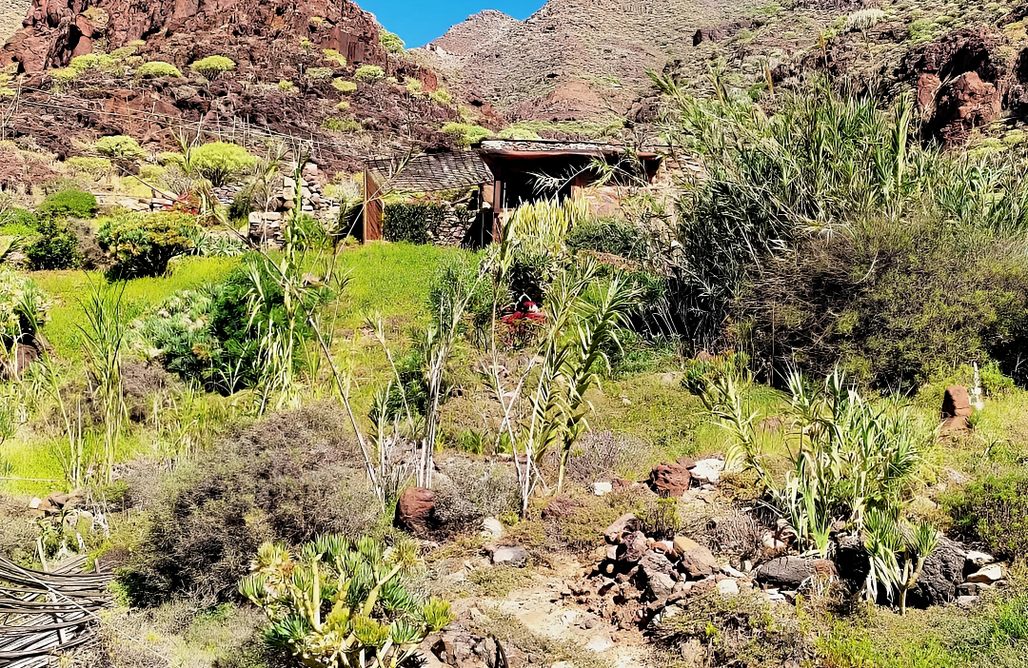 alojamientos AlohaCamp Casita Mil Estrellas  1