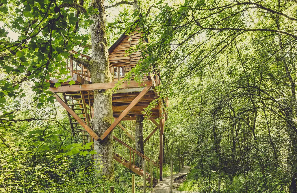 AlohaCamp Suite Okolin 2