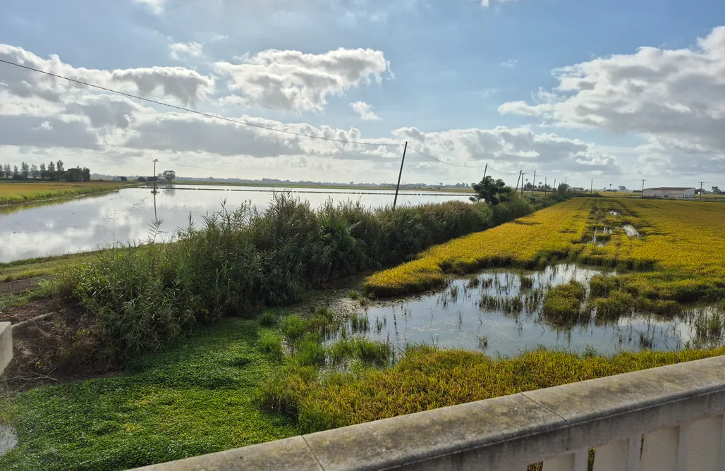 Cabaña Romántica Para Pareja Casa DeltaNatura · Grupos · Delta del Ebro 3