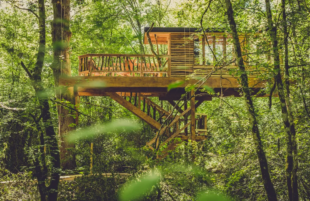 Alojamiento Navarra Suites en los árboles 2
