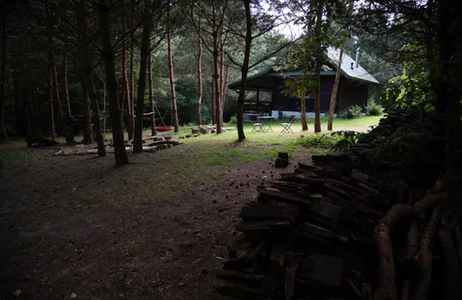 Zdjęcie obiektu Flying Moose/Latający Łoś