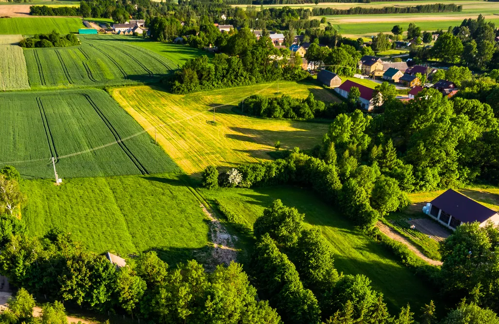 noclegi AlohaCamp Miejsce kamperowe i namiotowe - Łąki i Pola 2
