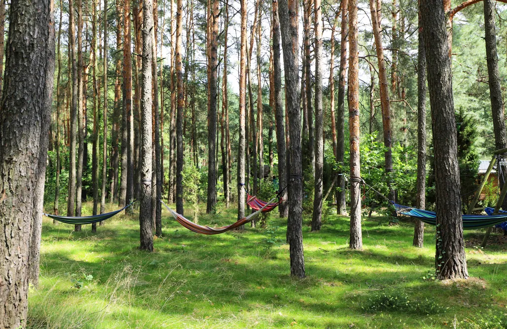 Długosiodło Noclegi Sanktuarium Laparica w Puszczy Białej 1