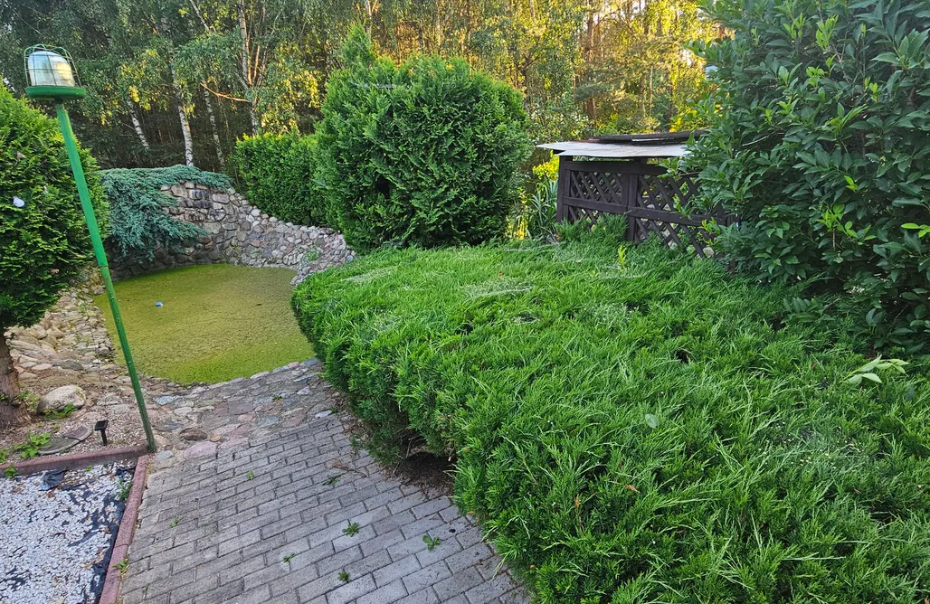 noclegi AlohaCamp Dom na skraju lasu Rypin 5