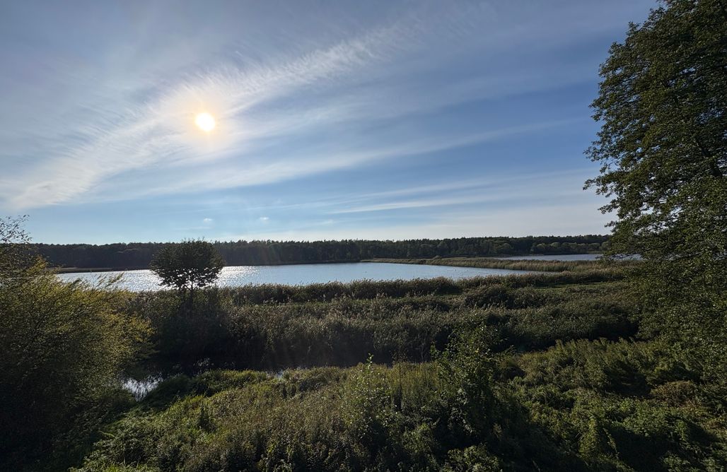 Unterkunft AlohaCamp Stodoła ZaLesie 1