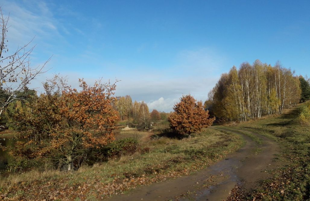 AlohaCamp Ostoja Pawie Oko 1