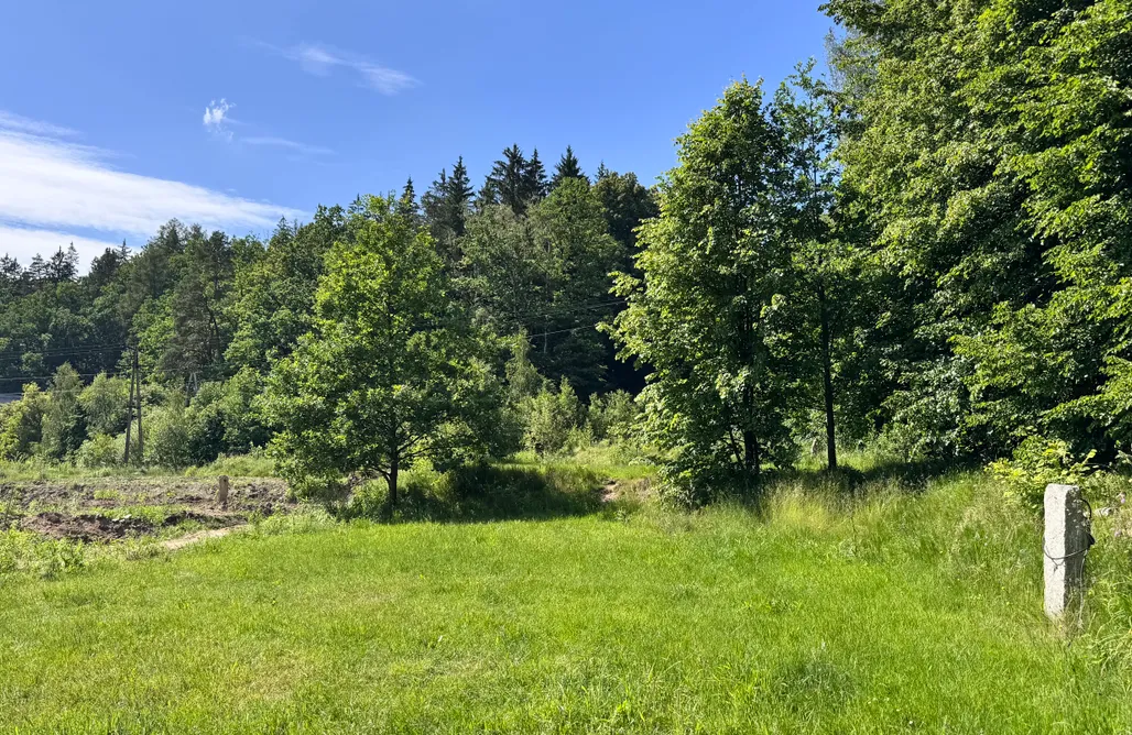 AlohaCamp F8; Miejsce na mniejszy kamper lub namioty z dostępem do prądu (Place for a smaller camper/caravan incl. electricity)  1
