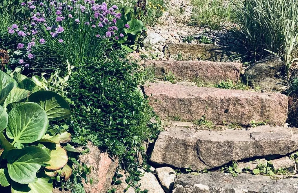 Gdzie na Wakacje w Polsce dALL 1