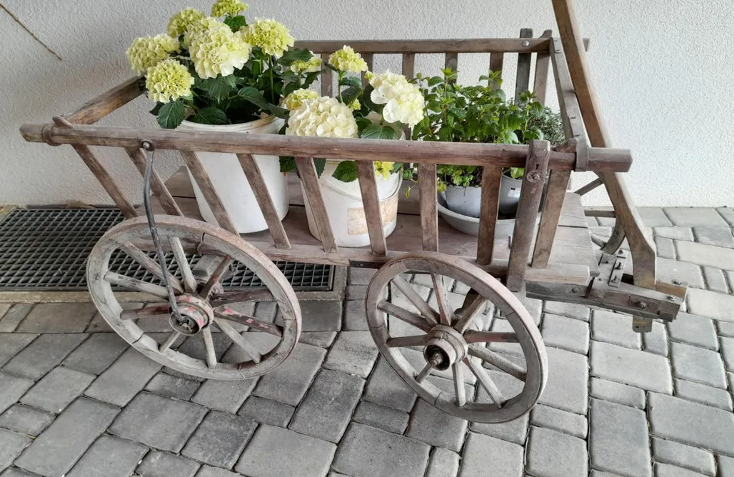 Alloggi AlohaCamp Land-Häusle 1