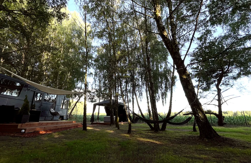 Anastazewo noclegi Dom.Las & Bus - wyjątkowy nocleg w amerykańskim autobusie 3