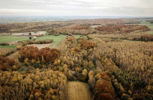 Zdjęcie obiektu Sielsko