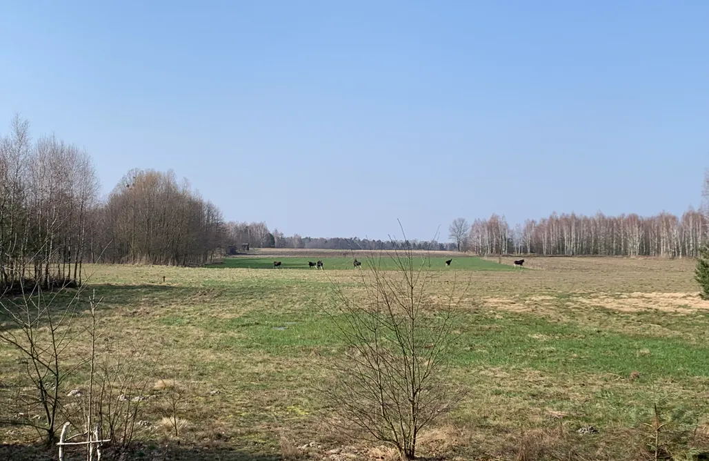 AlohaCamp Domek Wśród Pól 1