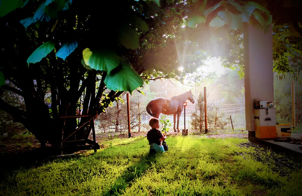 Rezerwat Przyrody Olszynka Grochowska Miejsce kamperowe i namiotowe - Zagroda Szlędaki 2