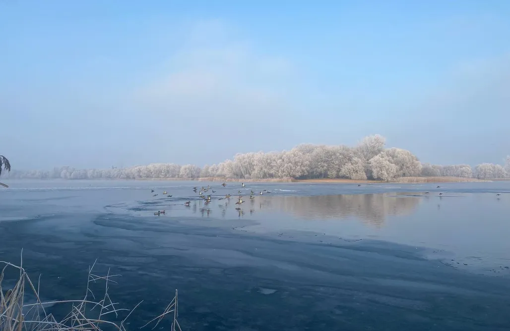 noclegi AlohaCamp Boho Villa 5