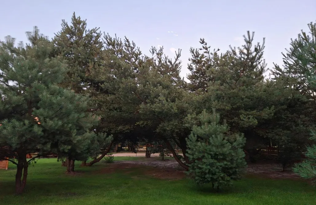 Chill na Skrzynce AlohaCamp