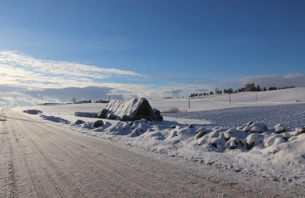 noclegi AlohaCamp Biała Czapla 1
