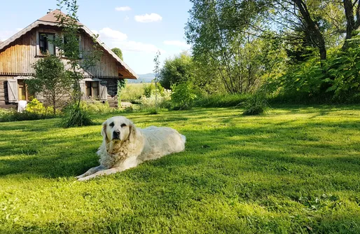 Zdjęcie obiektu Chata Magoda