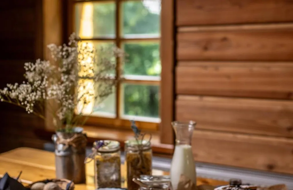 noclegi AlohaCamp Dębowiec 520 1