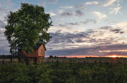Zdjęcie obiektu Domek na drzewie z ręcznie rzeźbioną drewnianą wanną
