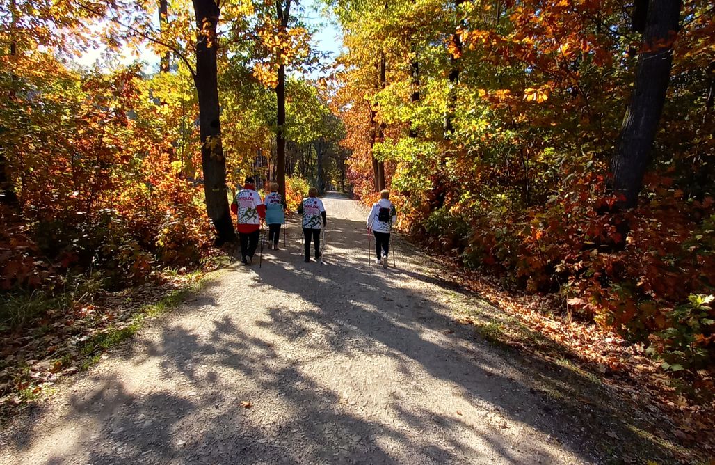 Domek na Borze | WYJĄTKOWY domek do wynajęcia Wał-Ruda 🏠