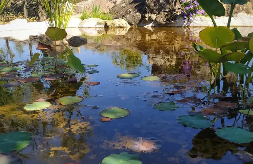 Spa Griñón Alojamientos rurales Pago de Yuste 3
