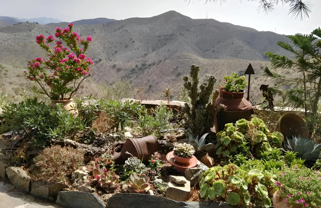 Unterkunft AlohaCamp Pinar el Almendra 4